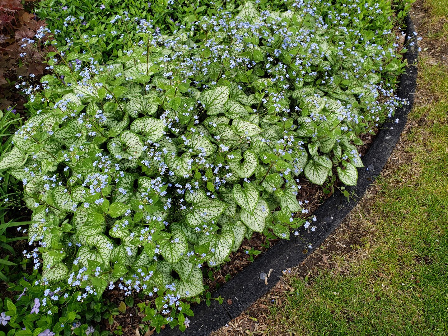 303 Roberts Road Inverness, IL 60067 - Photo 40 of 48 a view of a garden