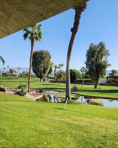 a view of a park with big trees