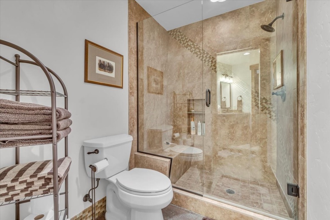 73 Last Chance Lane Dillon, CO 80435 - Photo 33 of 46 a bathroom with a shower and a toilet
