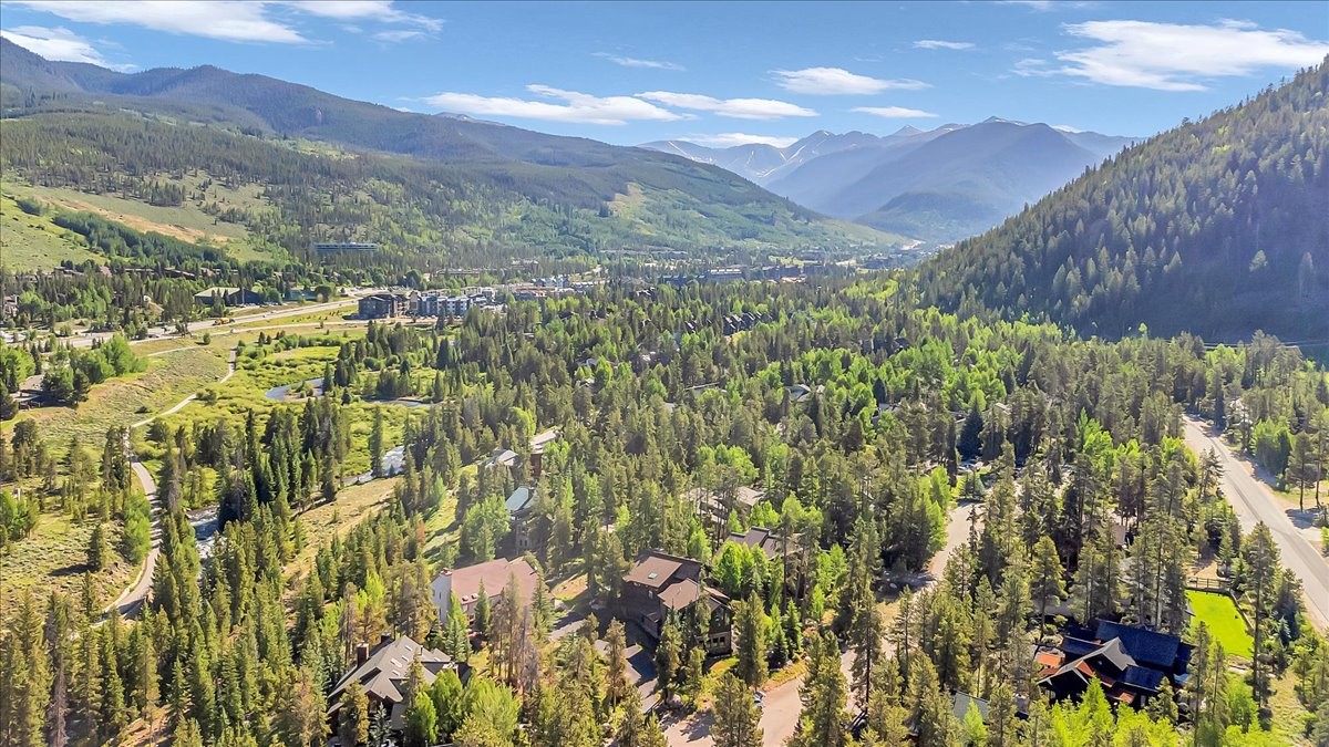 73 Last Chance Lane Dillon, CO 80435 - Photo 4 of 46 a view of a city with lush green forest