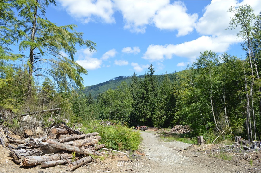 2 Alger Ccc Road Sedro-Woolley, WA 98284 - Photo 11 of 20
