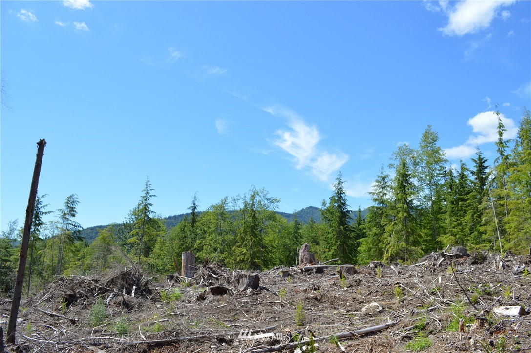 2 Alger Ccc Road Sedro-Woolley, WA 98284 - Photo 13 of 20