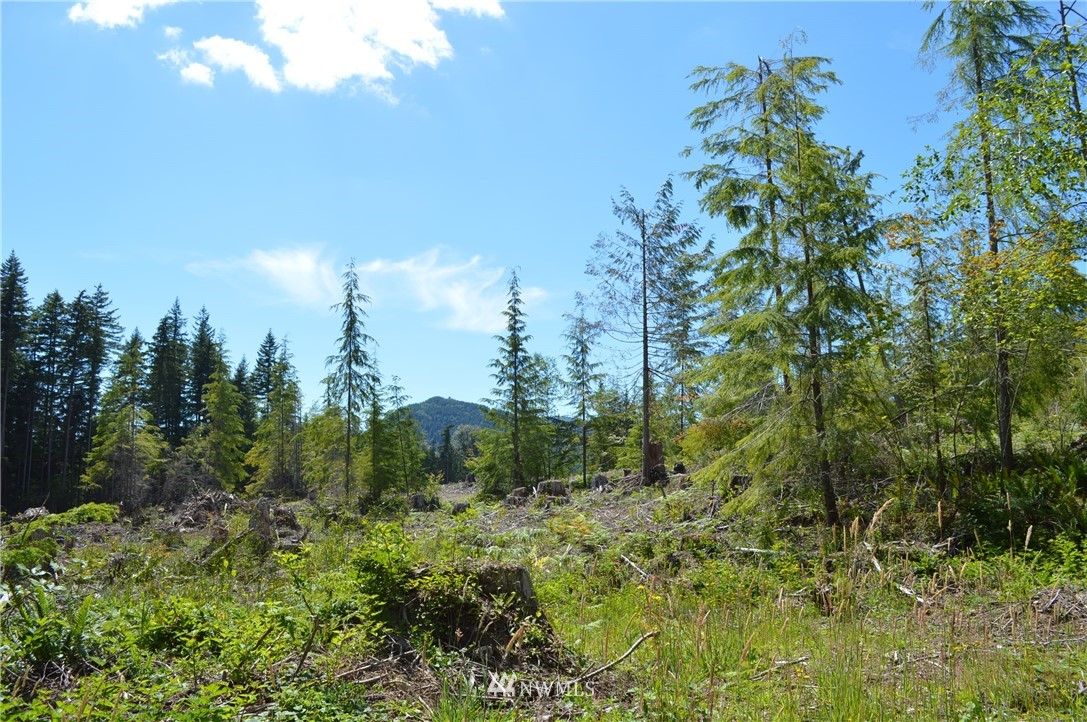 2 Alger Ccc Road Sedro-Woolley, WA 98284 - Photo 14 of 20