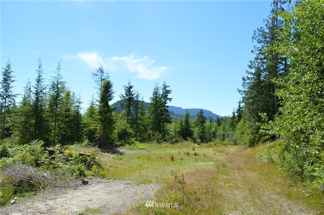2 Alger Ccc Road Sedro-Woolley, WA 98284 - Photo 15 of 20