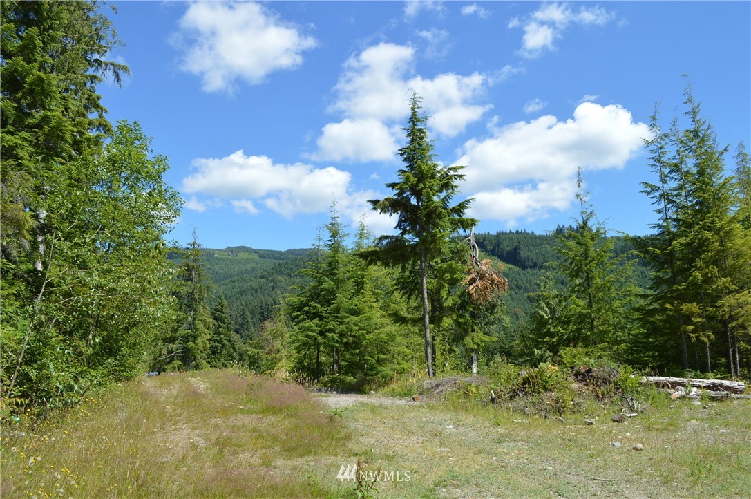 2 Alger Ccc Road Sedro-Woolley, WA 98284 - Photo 17 of 20