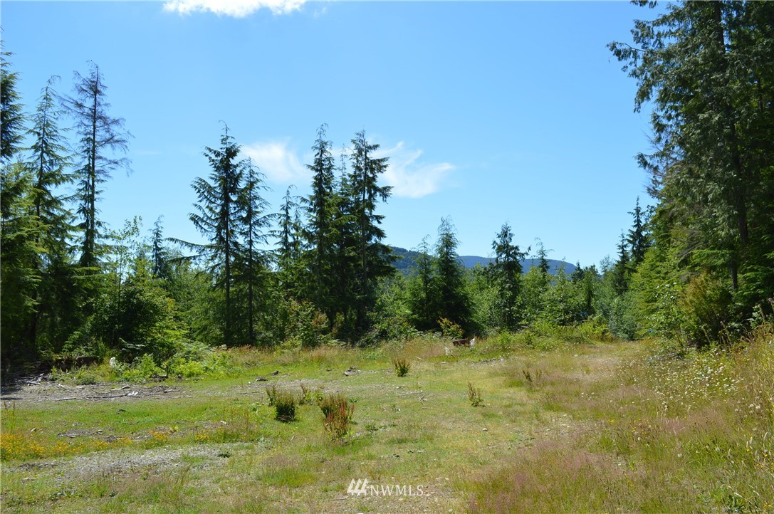 2 Alger Ccc Road Sedro-Woolley, WA 98284 - Photo 20 of 20