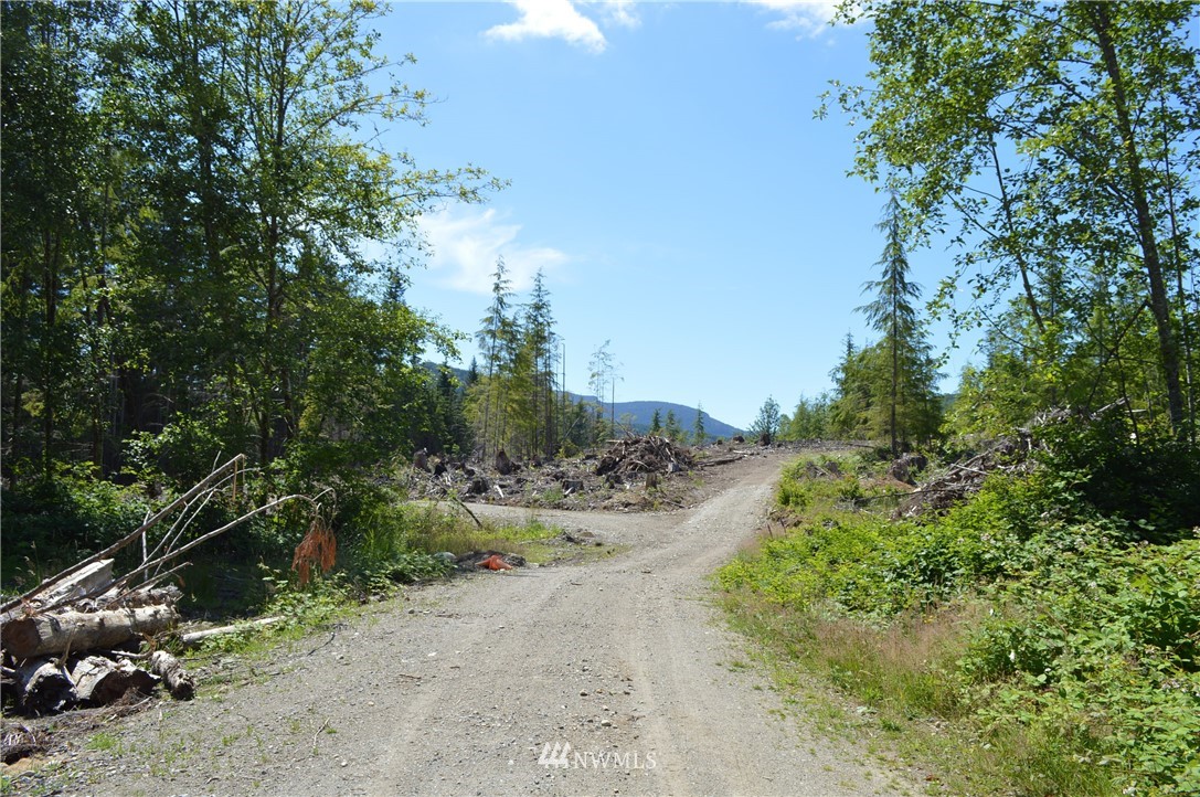 2 Alger Ccc Road Sedro-Woolley, WA 98284 - Photo 9 of 20