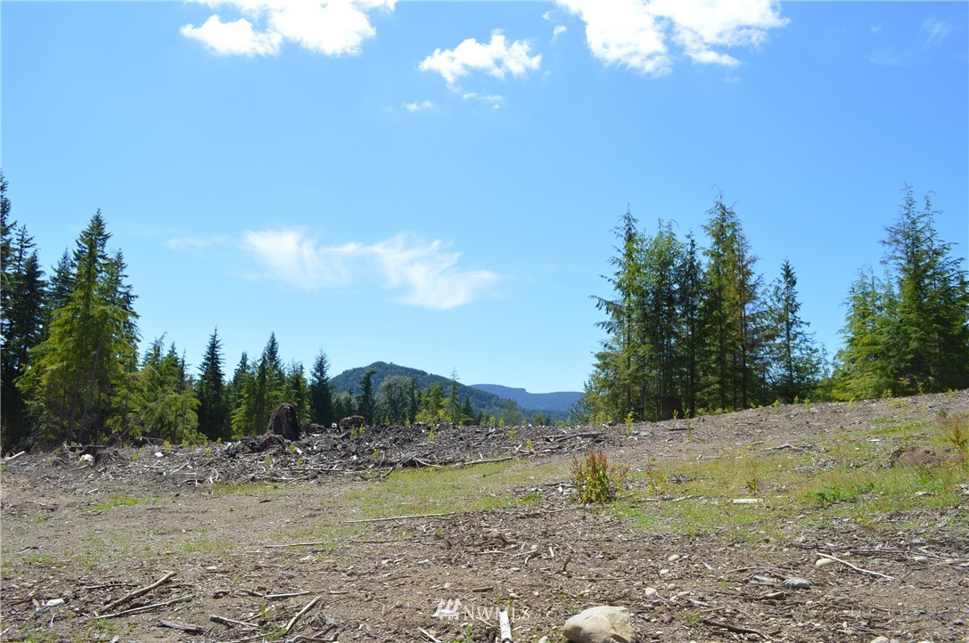 2 Alger Ccc Road Sedro-Woolley, WA 98284 - Photo 10 of 20