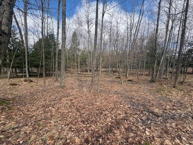 4 4 Mile Road Evart, MI 49631 - Photo 13 of 30
