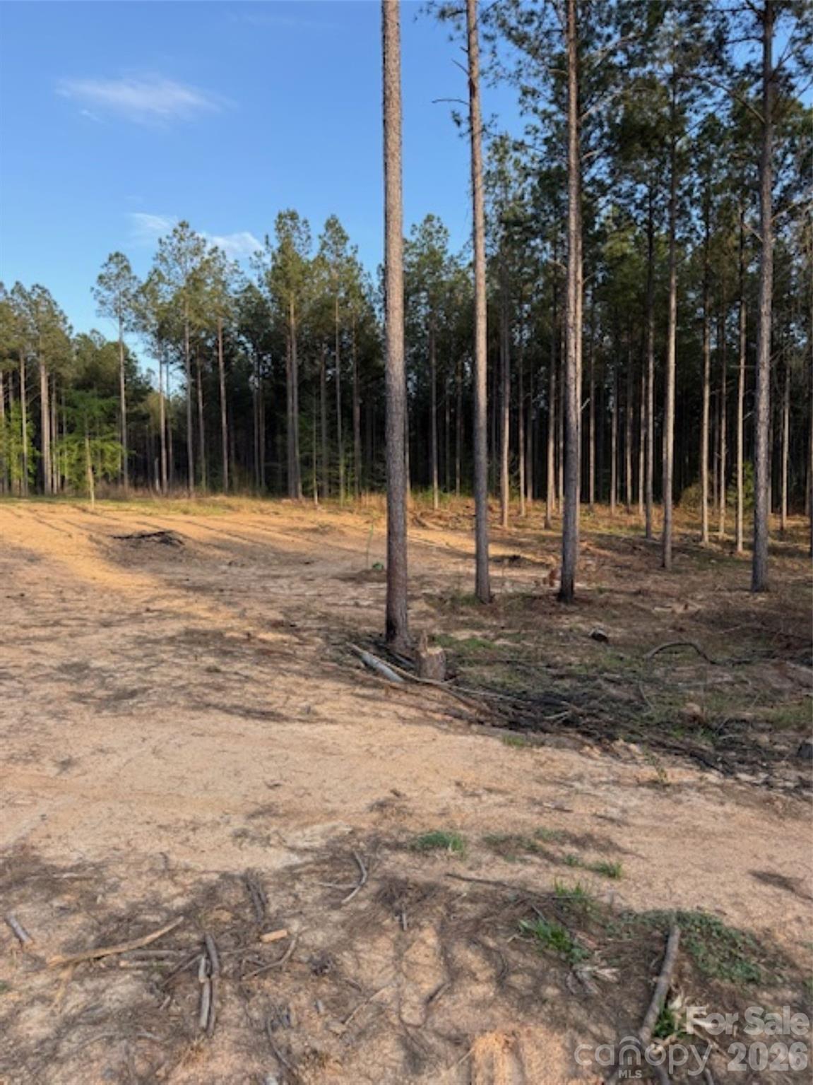 0 Clark Mountain Road Lilesville, NC 28091 - Photo 11 of 14