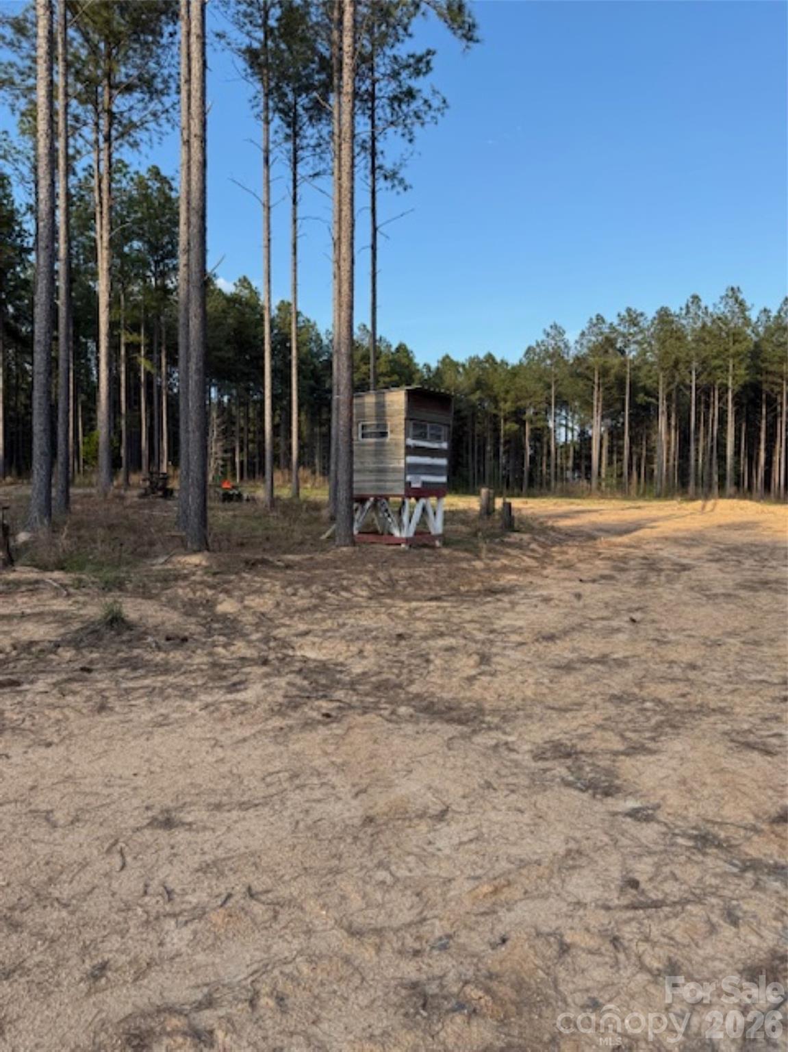 0 Clark Mountain Road Lilesville, NC 28091 - Photo 12 of 14