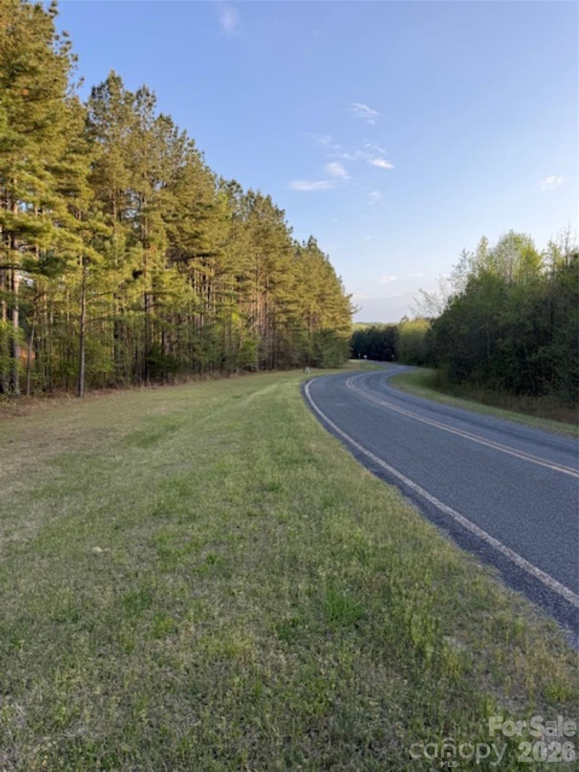 0 Clark Mountain Road Lilesville, NC 28091 - Photo 13 of 14