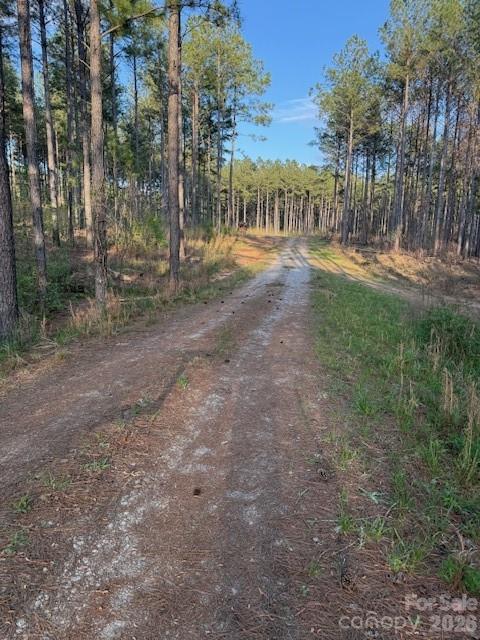 0 Clark Mountain Road Lilesville, NC 28091 - Photo 2 of 14