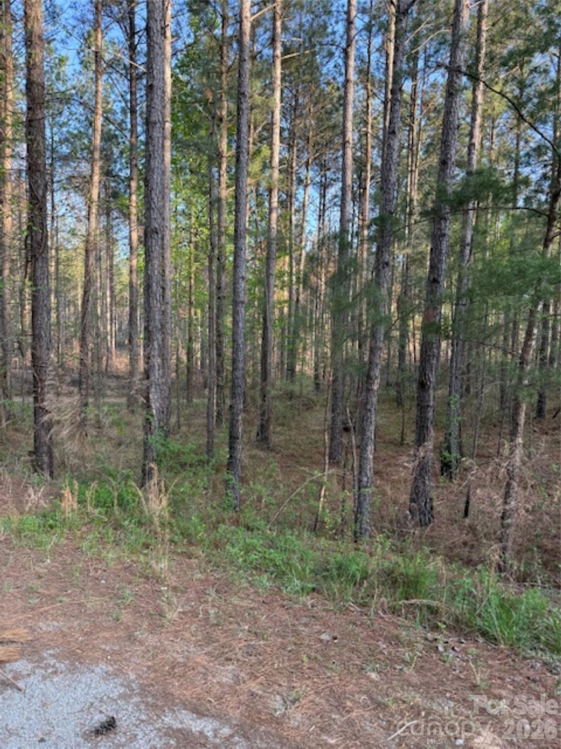 0 Clark Mountain Road Lilesville, NC 28091 - Photo 3 of 14