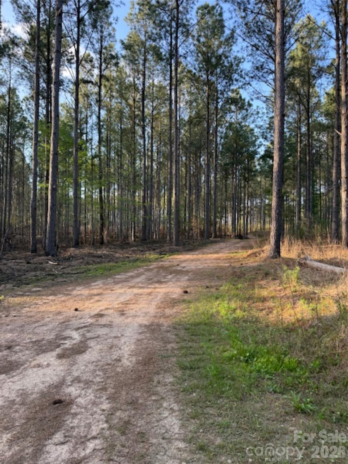 0 Clark Mountain Road Lilesville, NC 28091 - Photo 5 of 14