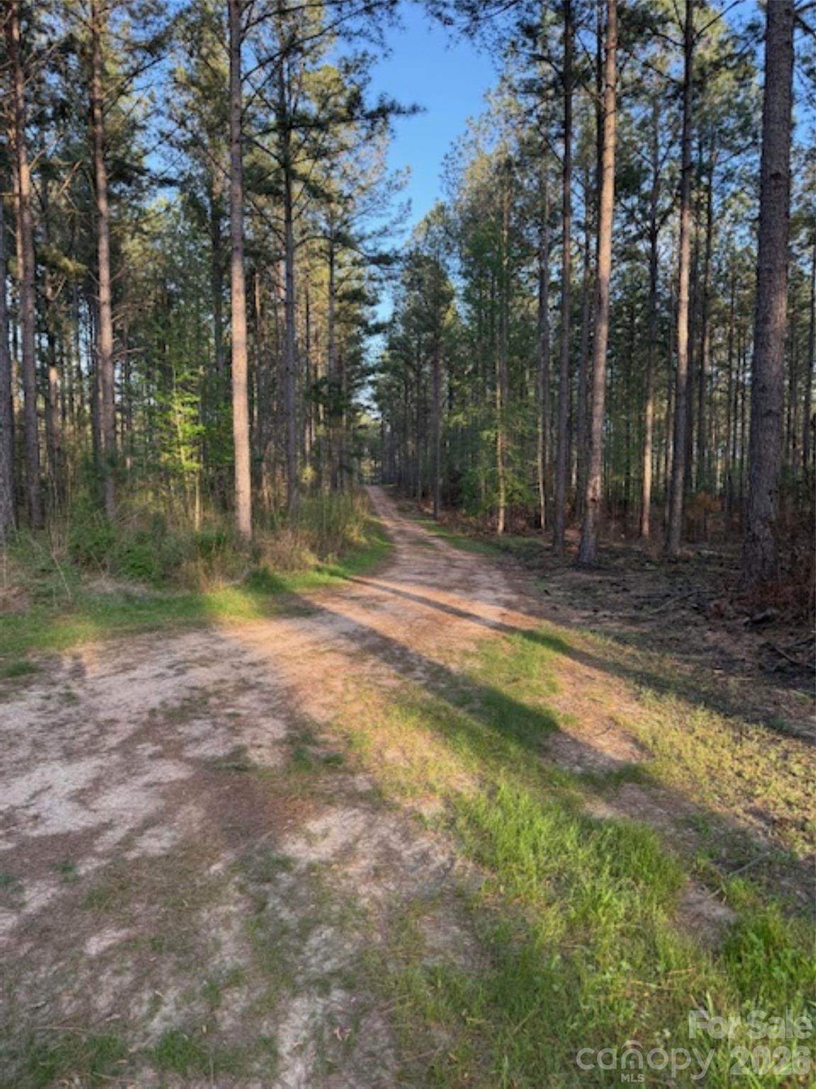 0 Clark Mountain Road Lilesville, NC 28091 - Photo 6 of 14