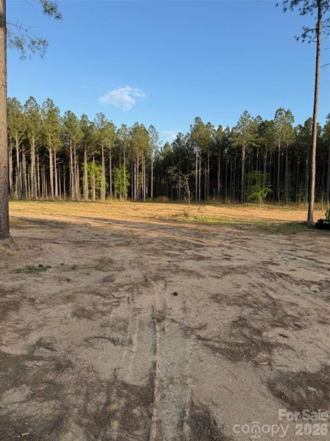 0 Clark Mountain Road Lilesville, NC 28091 - Photo 7 of 14