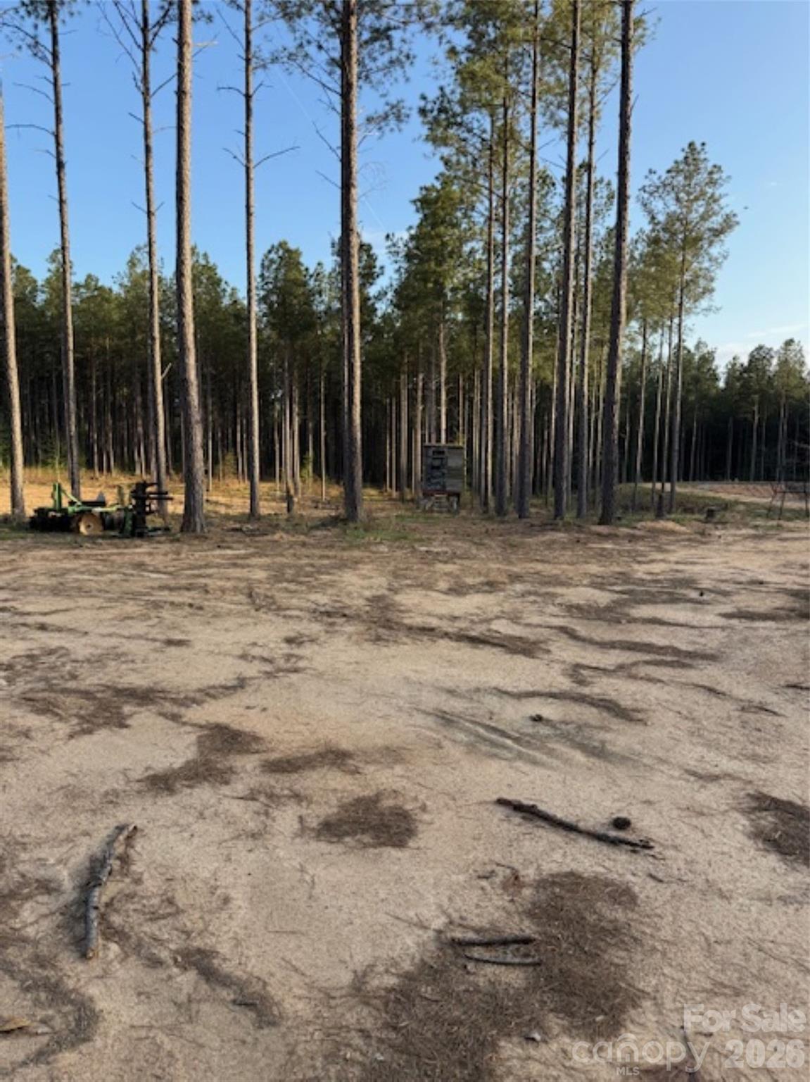 0 Clark Mountain Road Lilesville, NC 28091 - Photo 8 of 14