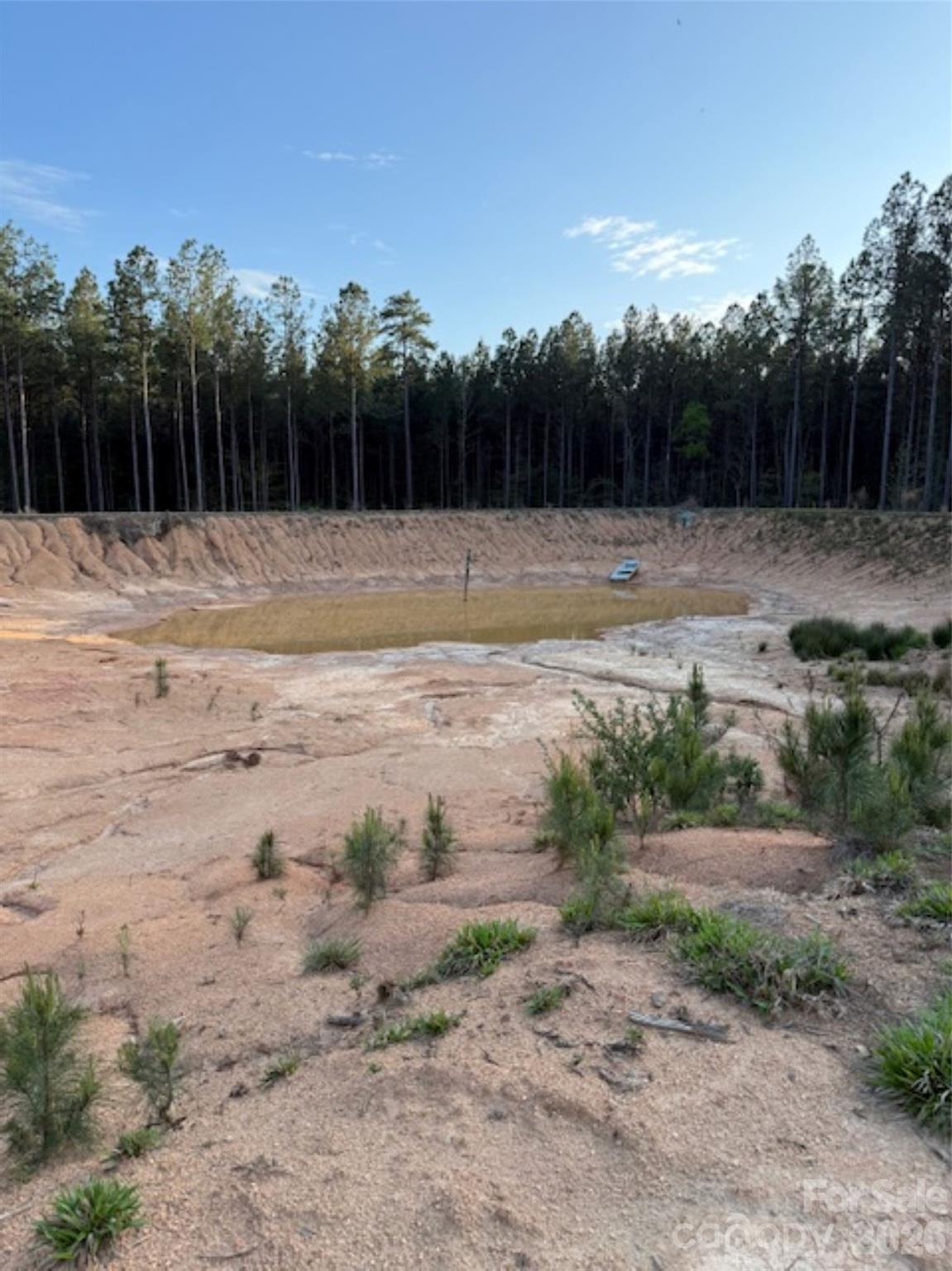 0 Clark Mountain Road Lilesville, NC 28091 - Photo 9 of 14