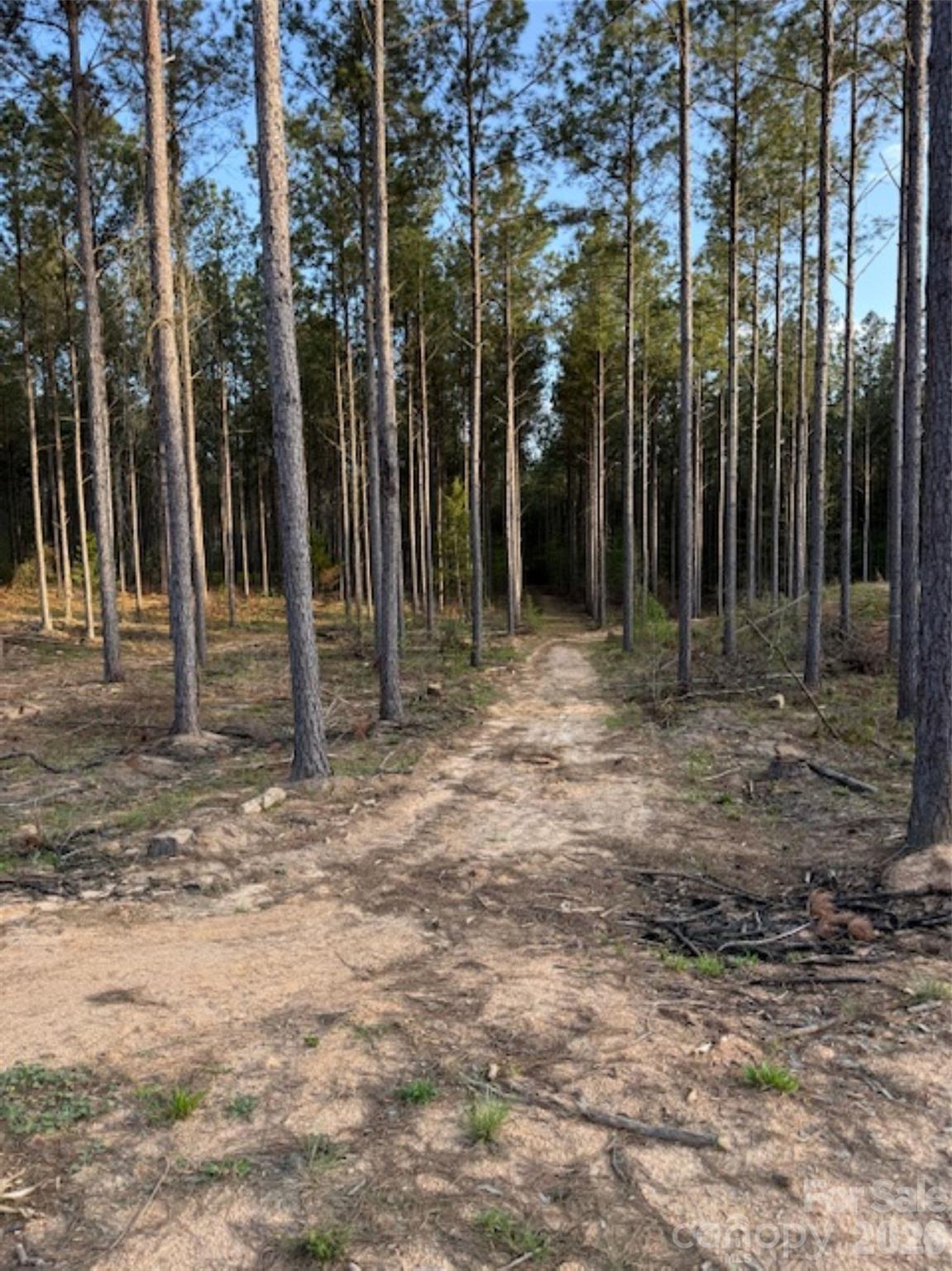 0 Clark Mountain Road Lilesville, NC 28091 - Photo 10 of 14