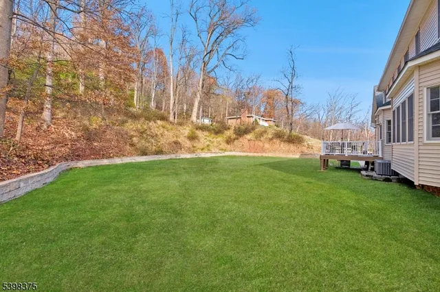 a view of yard with large tree