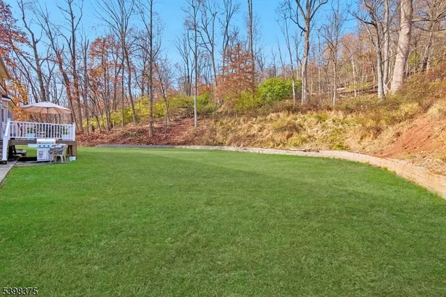 a view of yard with tree and green space