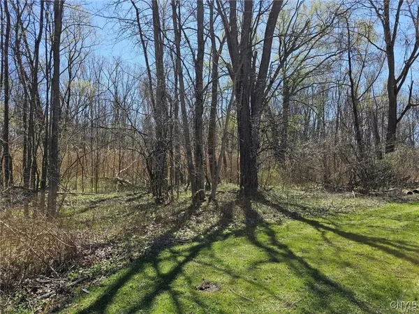 $99,900 | 0 State Route 5, Weedsport, NY 13166