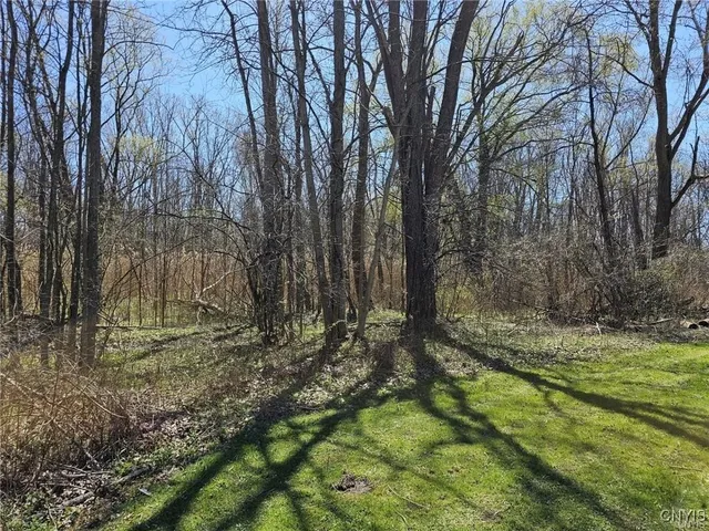 $99,900 | 0 State Route 5, Weedsport, NY 13166