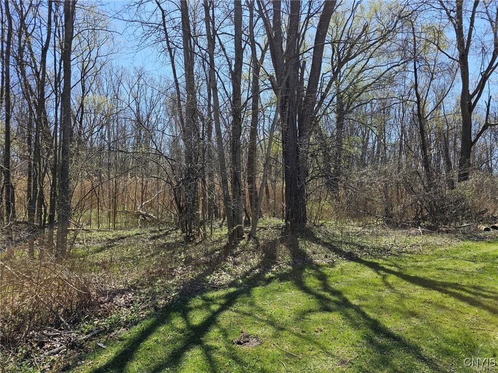 0 State Route 5 Weedsport, NY 13166 - Photo 9 of 9