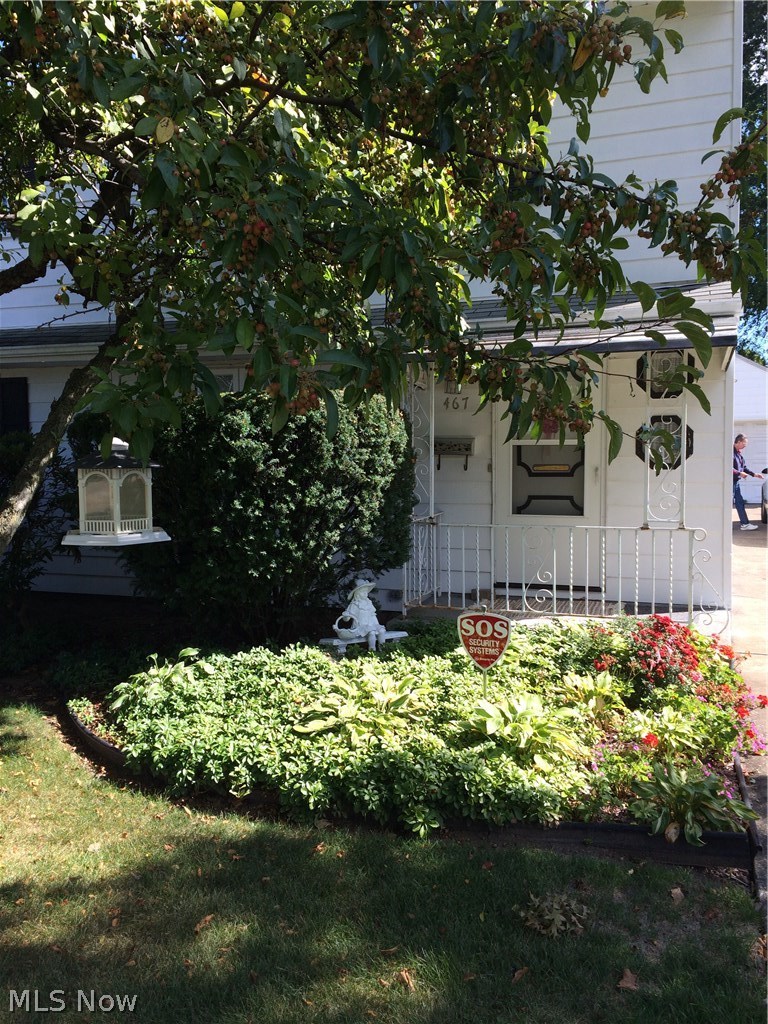 467 Rhoda Avenue Youngstown, OH 44509 - Photo 2 of 20