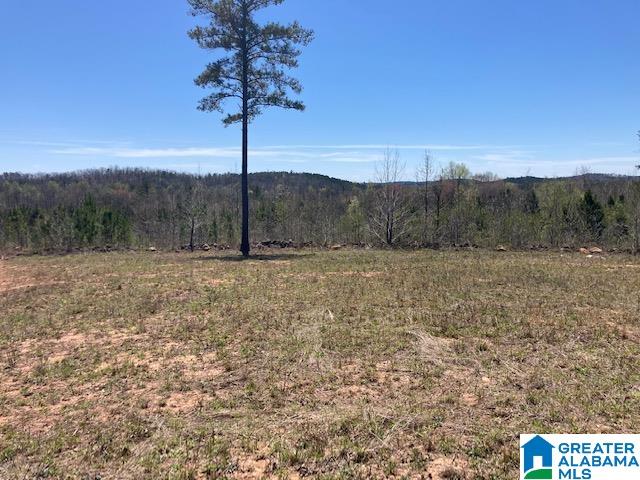 250 Gortney Road, Unit 110 AC Ashland, AL 36251 - Photo 3 of 8 Gallery Image 3