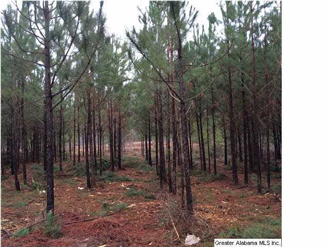 Bluff Ridge Road, Unit 16 Bessemer, AL 35022 - Photo 10 of 11