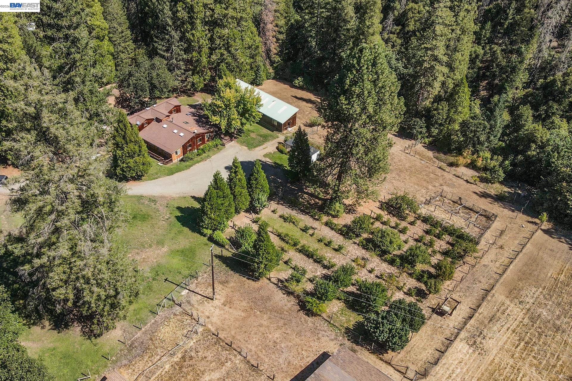 4481 Rush Creek Road Lewiston, CA 96052 - Photo 52 of 68