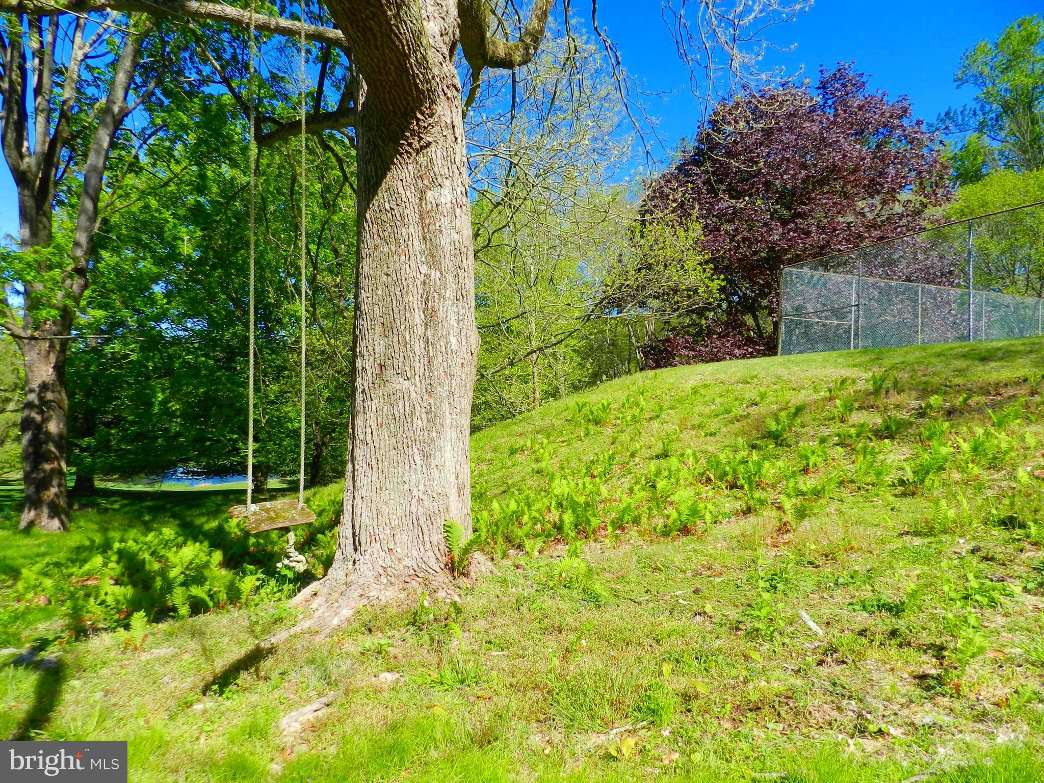 41 Boot Road Newtown Square, PA 19073 - Photo 20 of 84 Swing while you stay safe at home