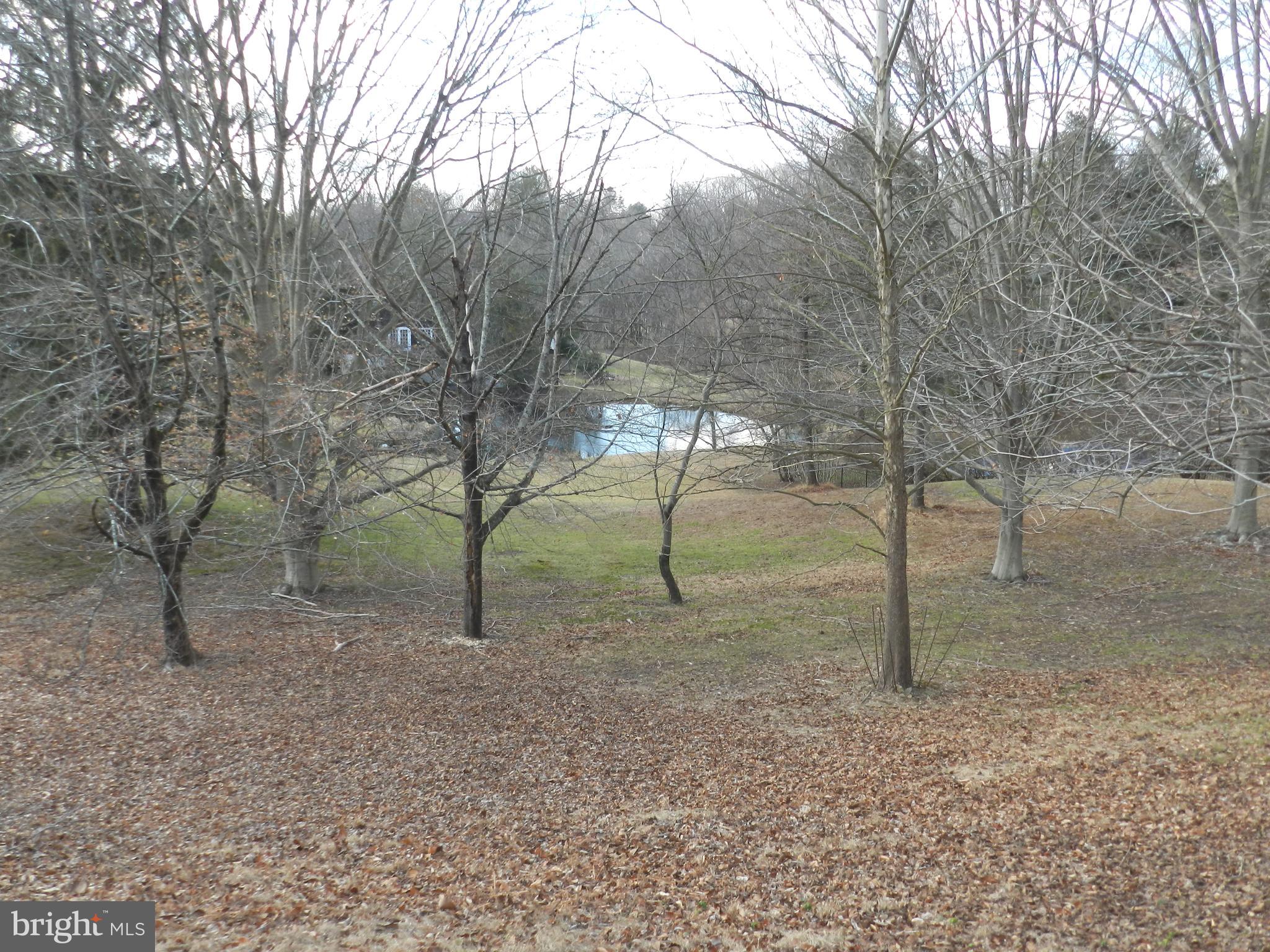 41 Boot Road Newtown Square, PA 19073 - Photo 49 of 84 View from tennis court
