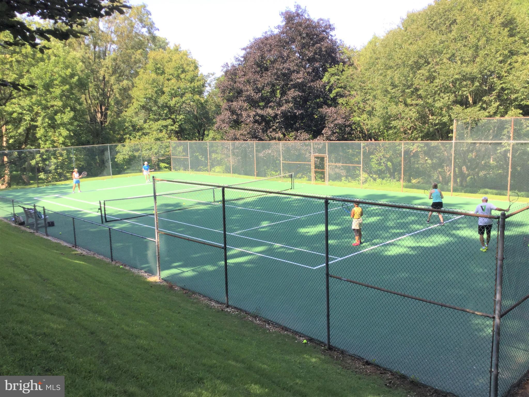 41 Boot Road Newtown Square, PA 19073 - Photo 68 of 84 No rules when you own the tennis court -
