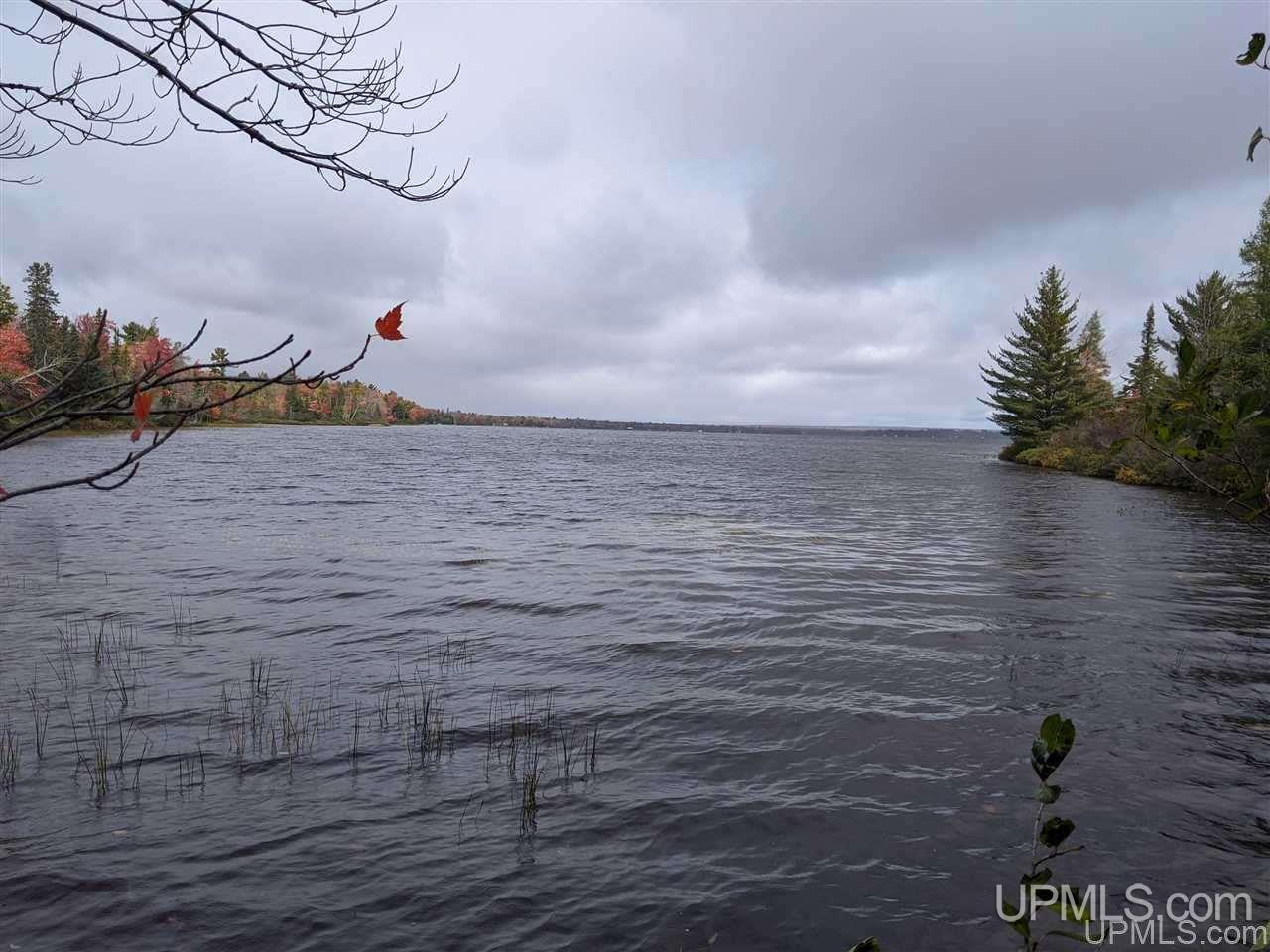 Tbd Little Rice Lake Road, Unit 51&52 Lake Linden, MI 49945 - Photo 4 of 4