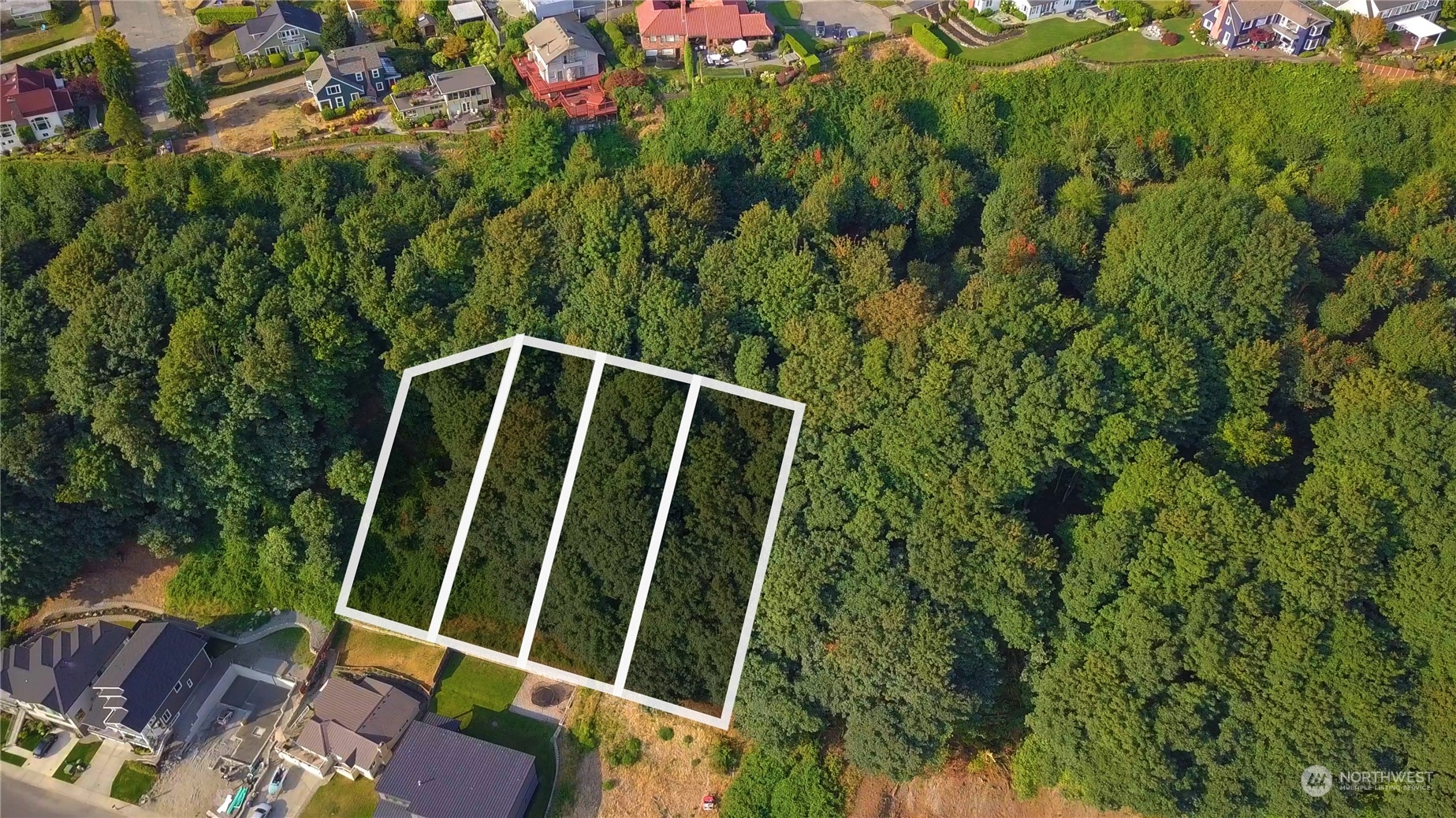 3901 North Adams Street Tacoma, WA 98407 - Photo 4 of 11 a view of small yard