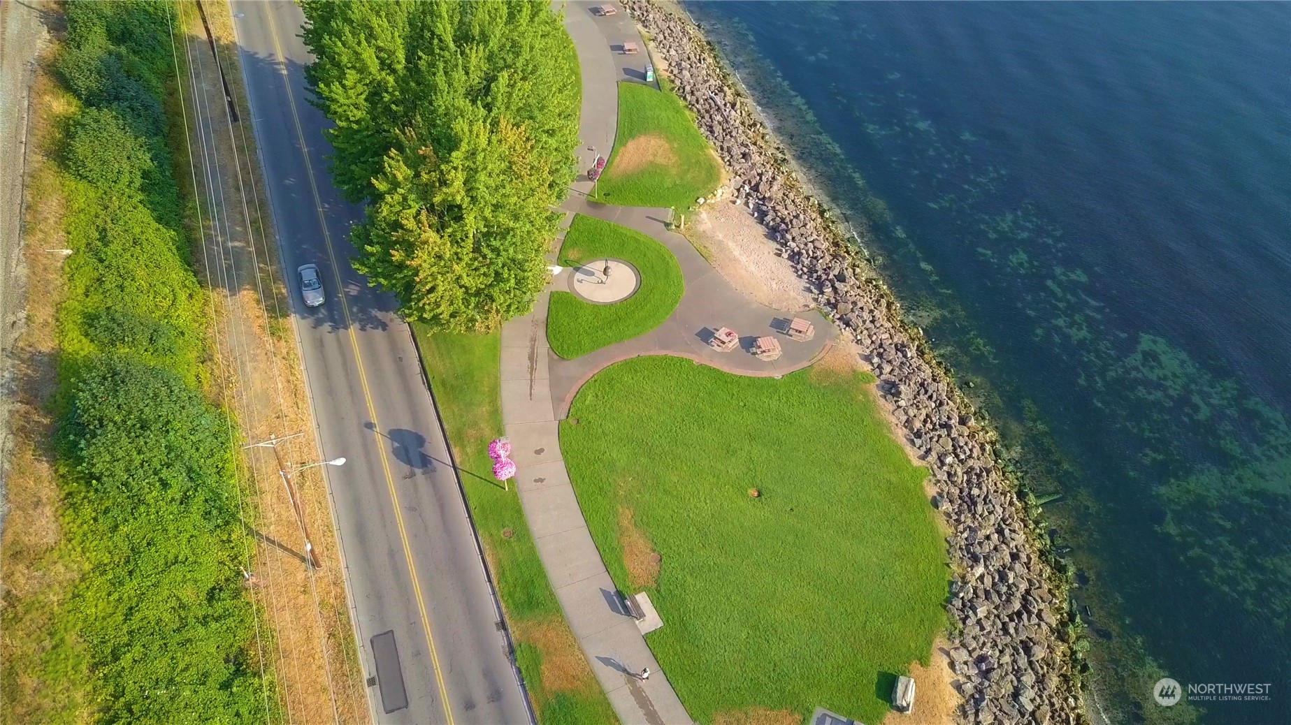 3901 North Adams Street Tacoma, WA 98407 - Photo 8 of 11 a view of a yard