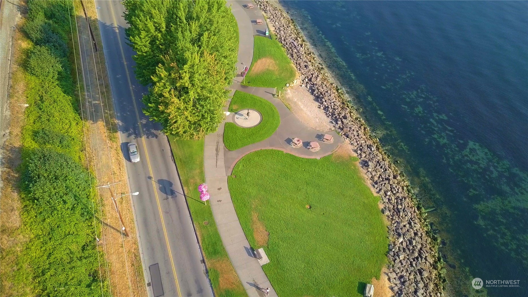 3901 North Adams Street Tacoma, WA 98407 - Photo 9 of 11 a view of a yard with plants