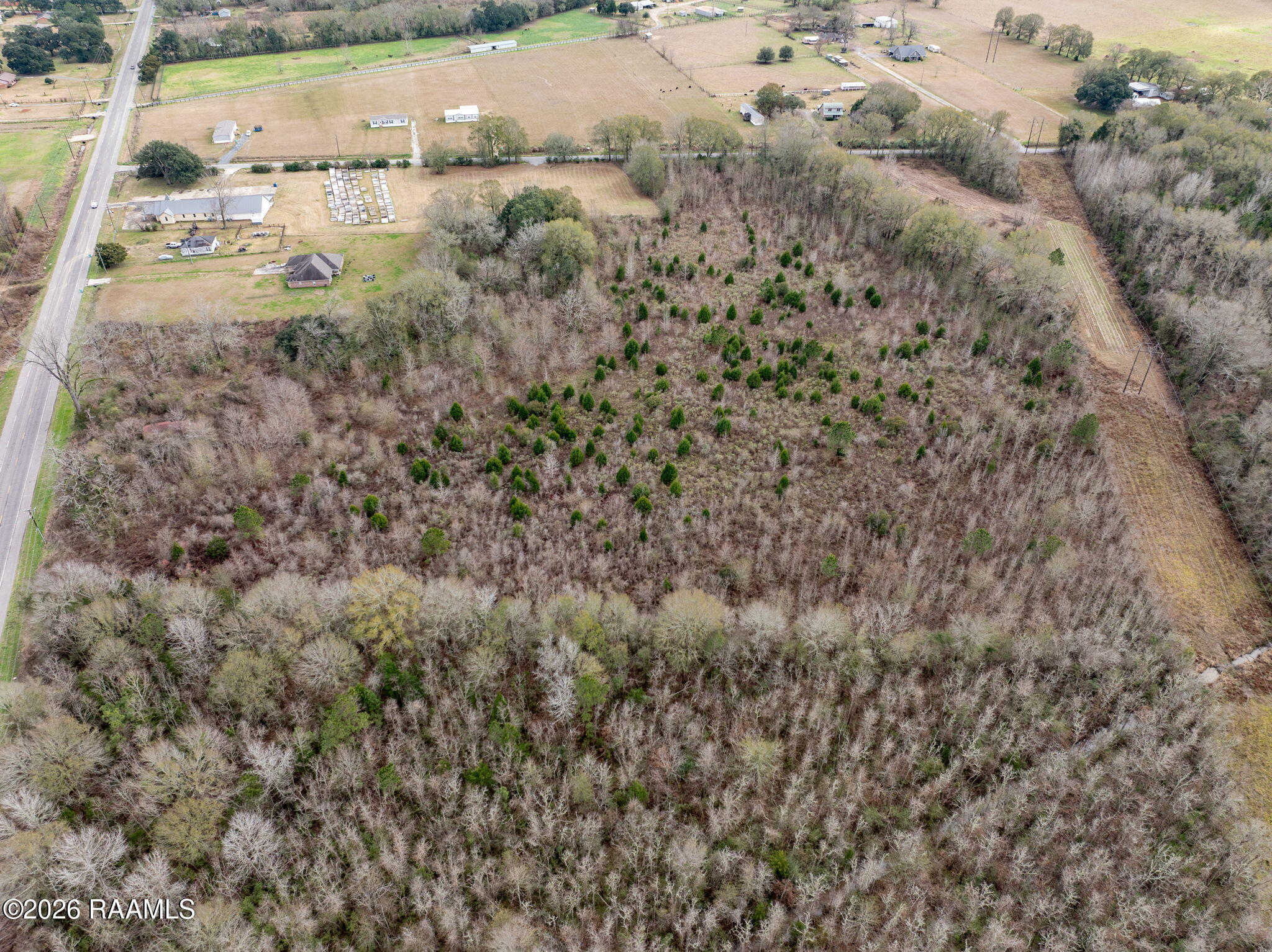 3519 Highway 167 Opelousas, LA 70570 - Photo 8 of 11 8-web-or-mls-DJI_20260123034725_0632_D