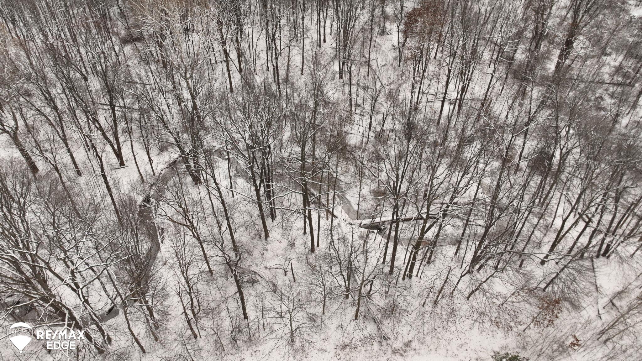 0 North Linden Road Clio, MI 48420 - Photo 13 of 17
