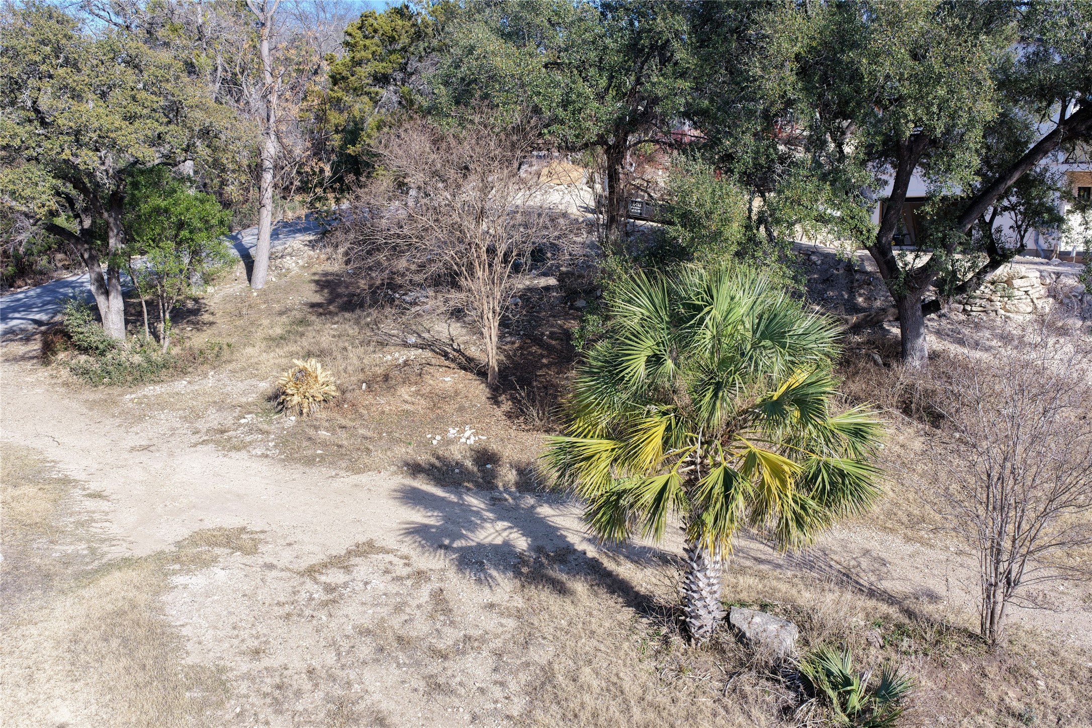 618 Bermuda Street Lakeway, TX 78734 - Photo 3 of 10 a view of a yard with plants and a large tree
