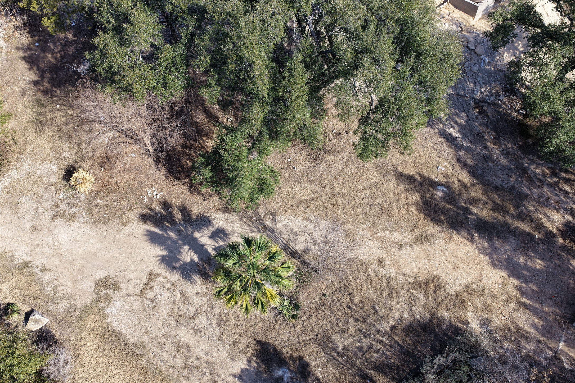 618 Bermuda Street Lakeway, TX 78734 - Photo 5 of 10 a view of a yard with plants and trees