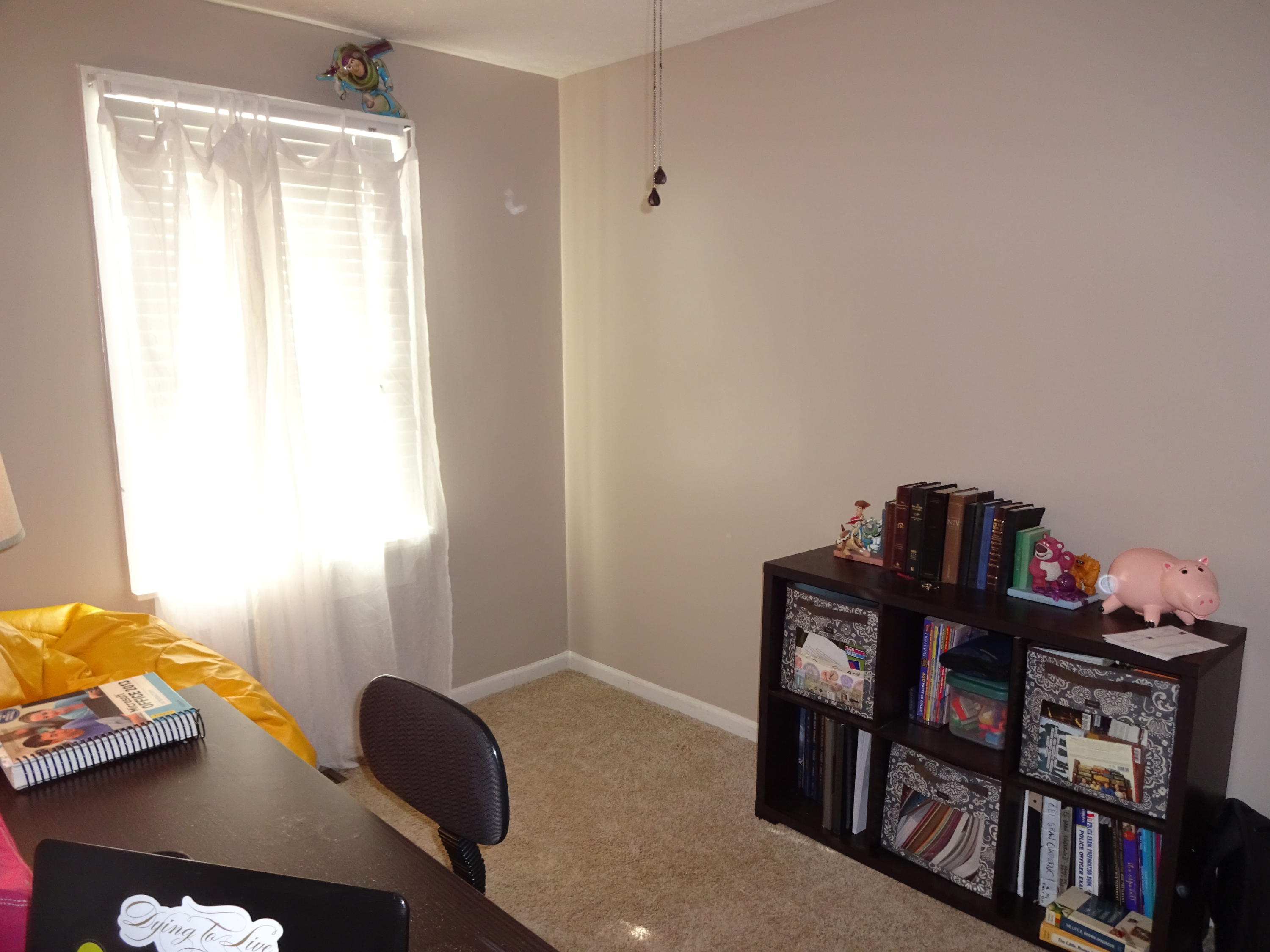 8861 West Simpson Road Knoxville, TN 37920 - Photo 14 of 17 DSC04180