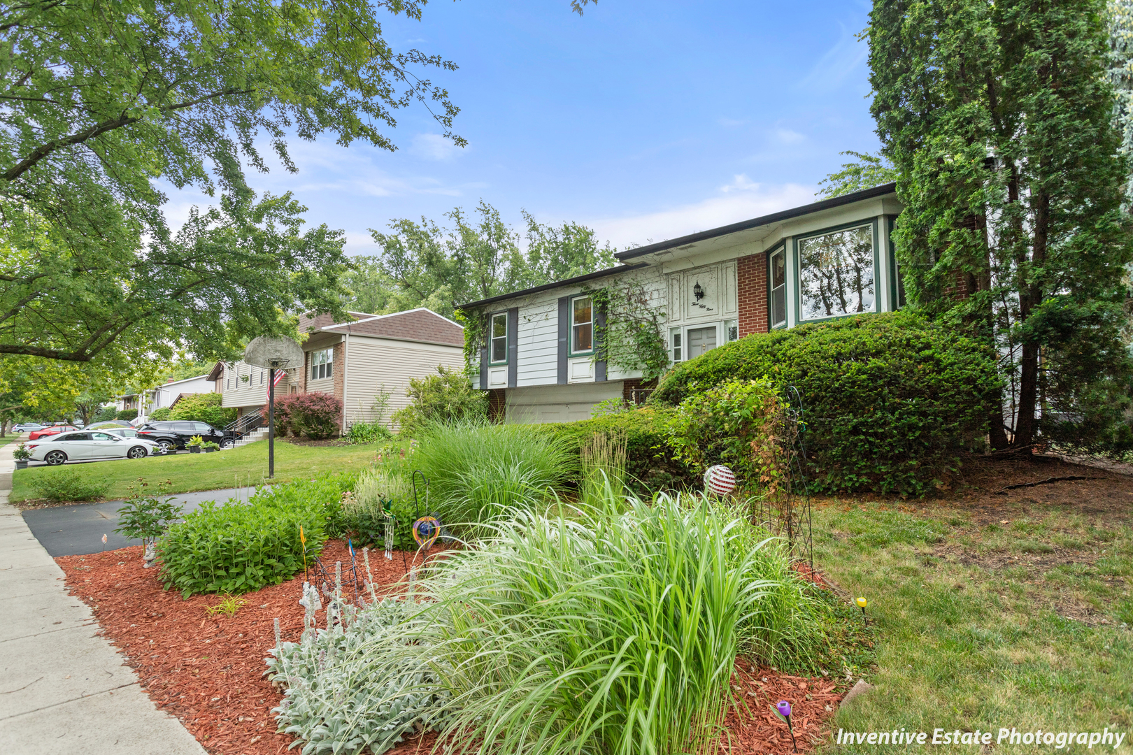 a view of a house with a yard and plants