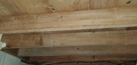50 Fowler Road Standish, ME 04084 - Photo 61 of 61 thumbnail_20211030_102631