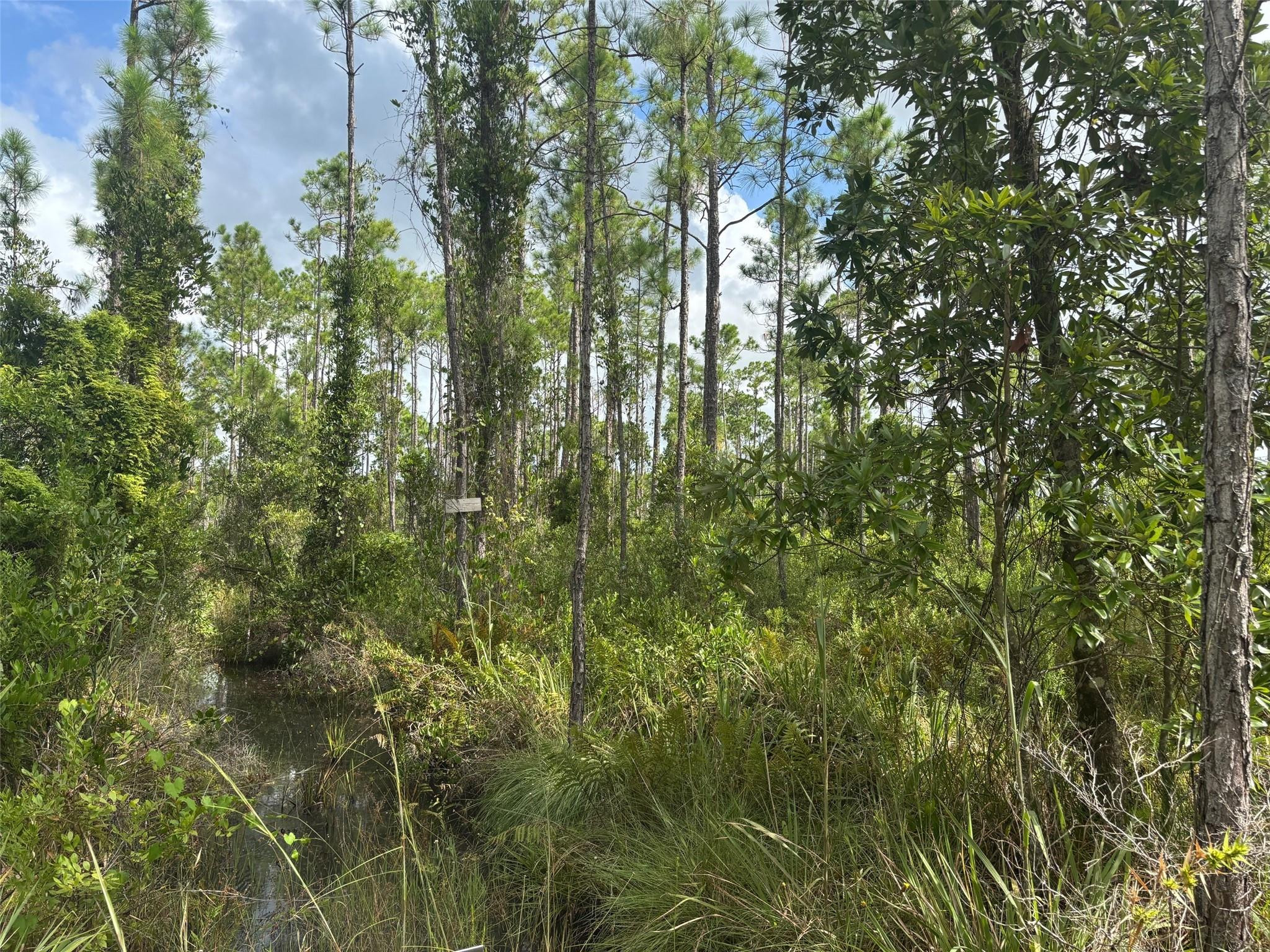 0 Co Rd Lake Frostproof, FL 33843 - Photo 1 of 2 Photo 1
