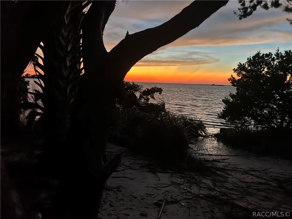 11590 North Kayak Point Inglis, FL 34449 - Photo 86 of 87