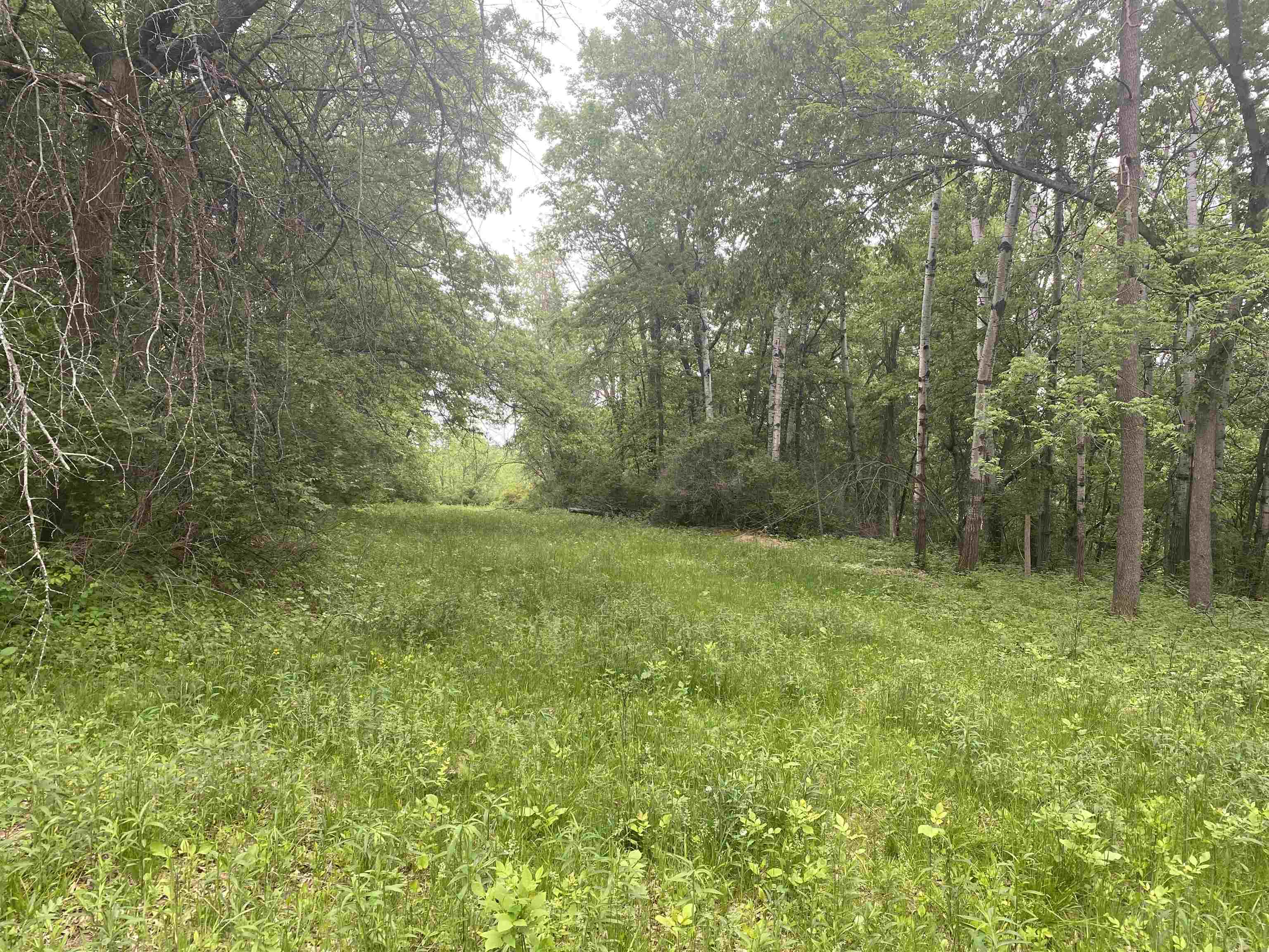 940 Calhoun Drive Platteville, WI 53818 - Photo 2 of 9